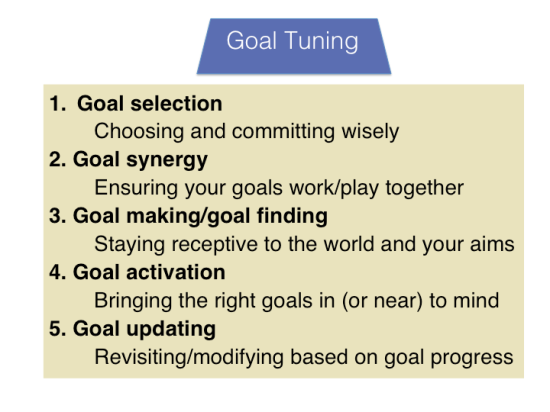 The Five Interrelated Components of Goal Tuning